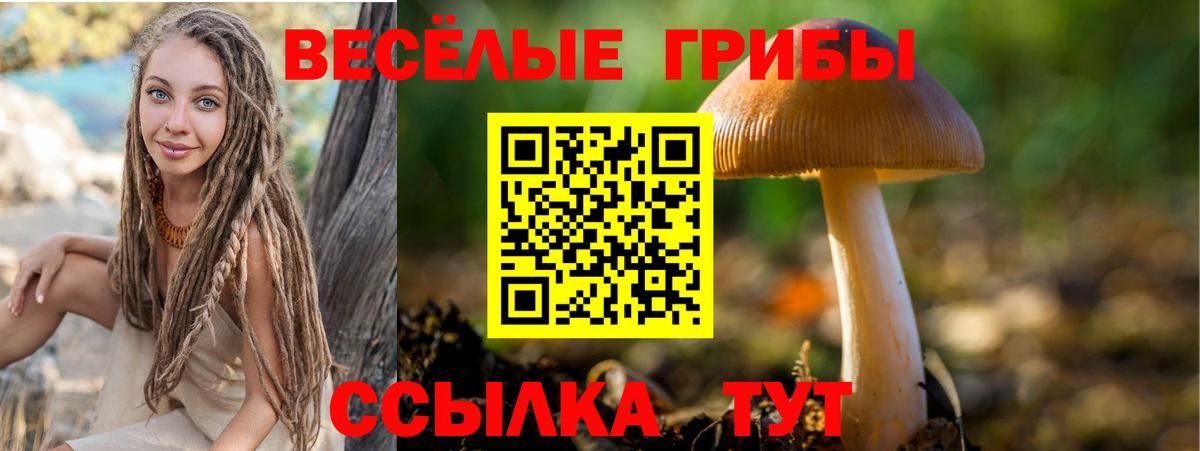 Бугуруслан  Псилоцибиновые грибы мицелий  Вход с VPN 